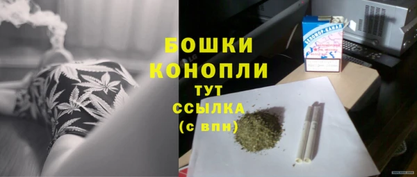 шишки Балабаново