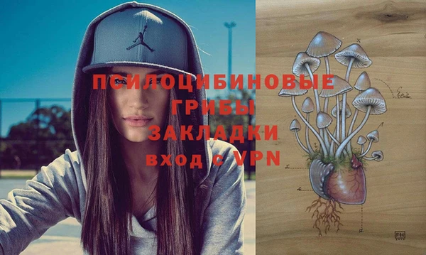 шишки Балабаново