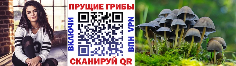 Псилоцибиновые грибы MAGIC MUSHROOMS Ликино-Дулёво