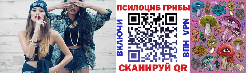 Псилоцибиновые грибы Psilocybe  как найти закладки  Ликино-Дулёво 